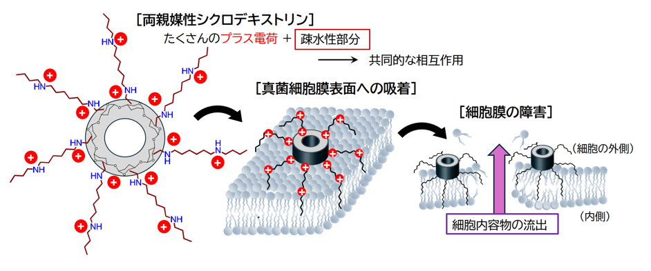 261016press_miyagawa.png