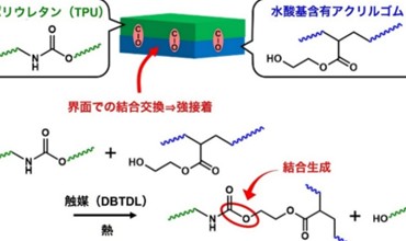 樹脂界面での「結合交換」を利用した新接着技術の開発 ―接着剤不使用での異樹脂間接着を実現―