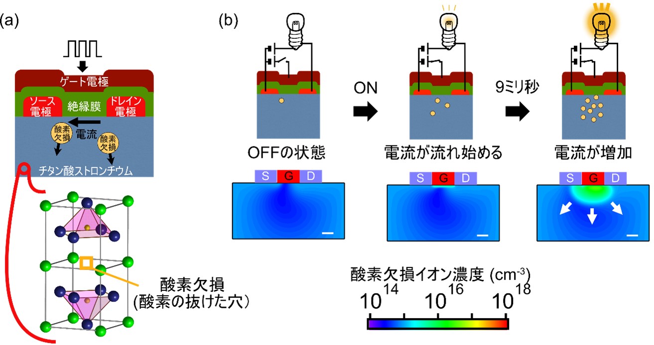 画像2.jpg