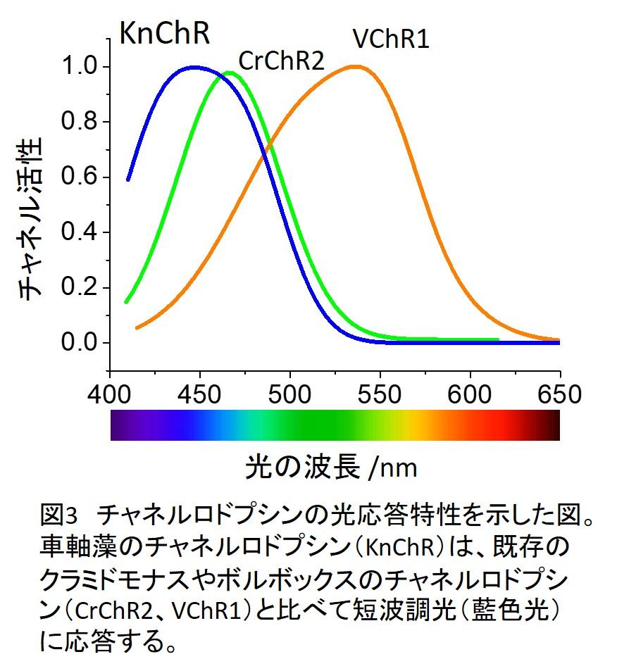 図3.jpg