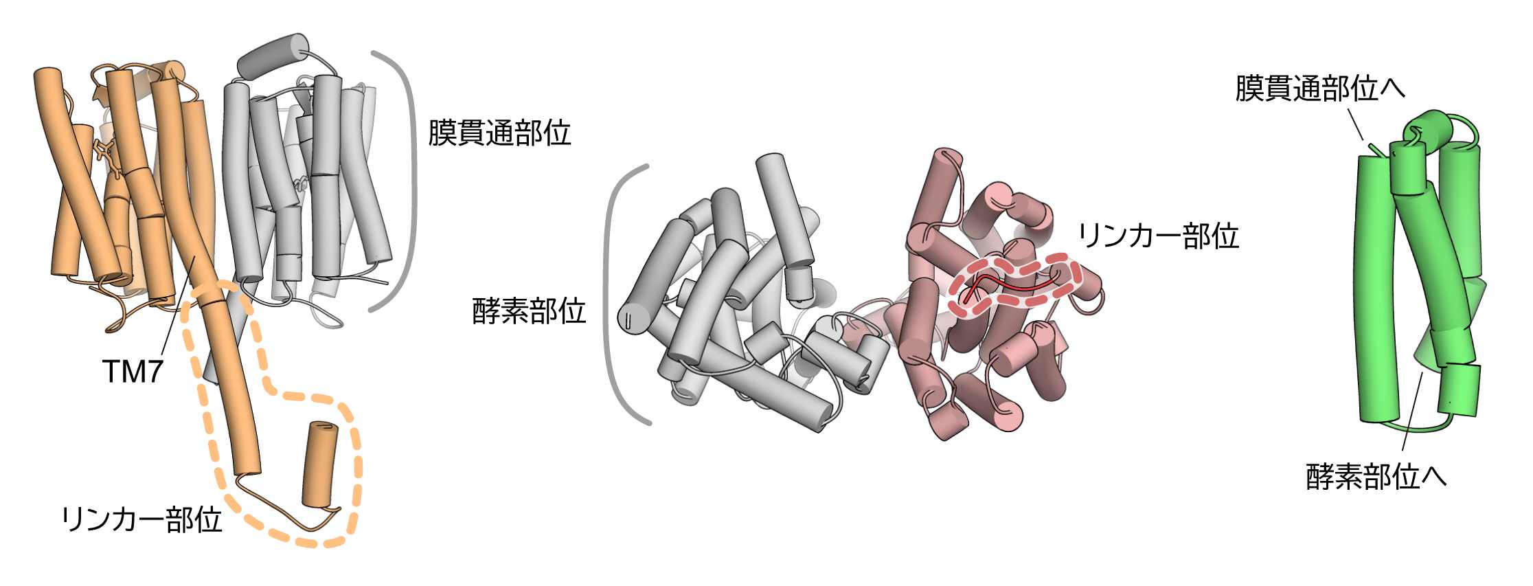 図３.jpg