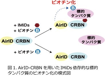 fig1.jpg