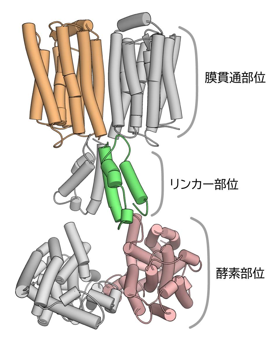 図４.jpg