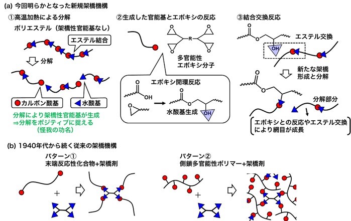 fig3.jpg