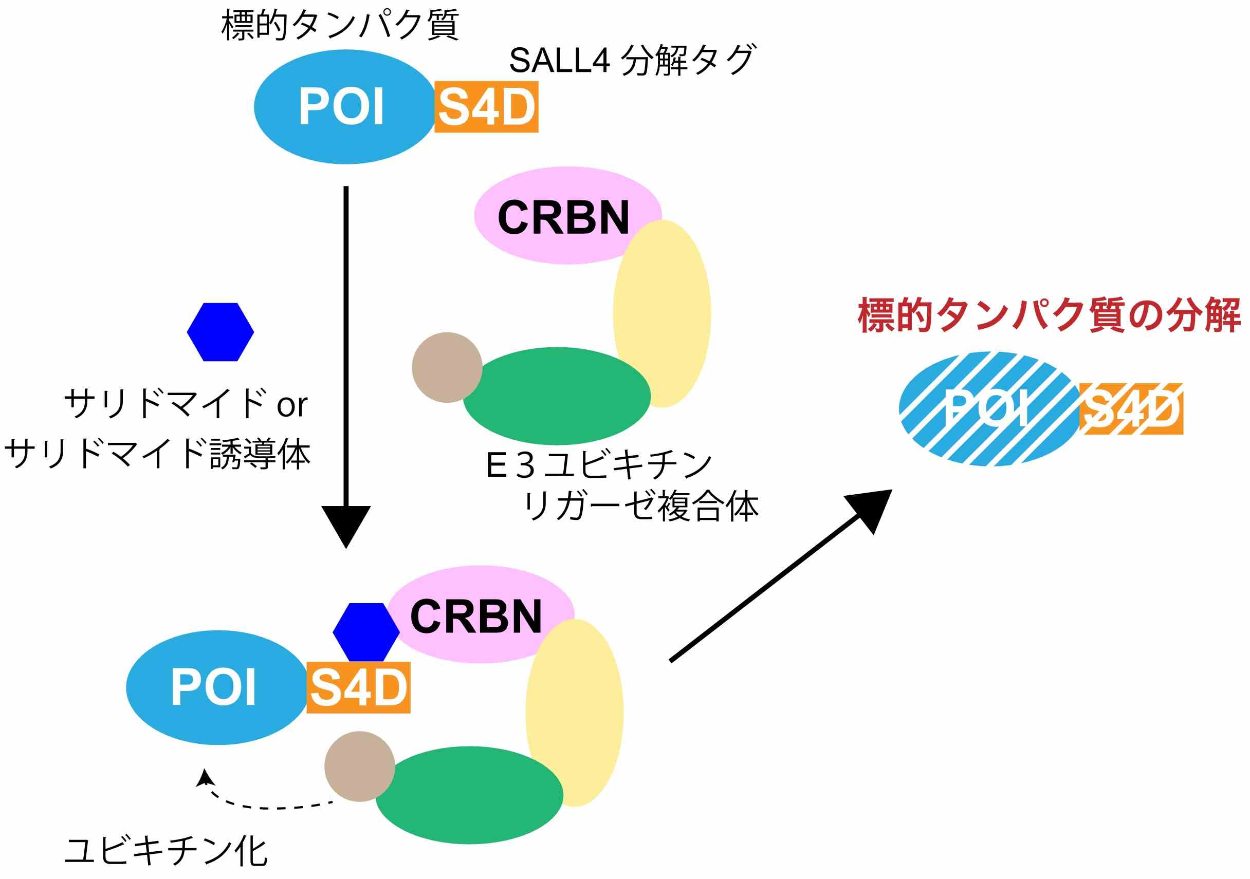 図.jpg