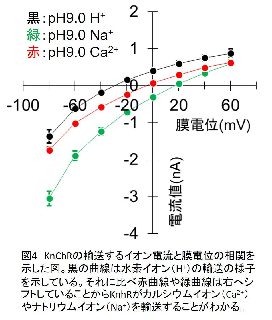 図4.jpg