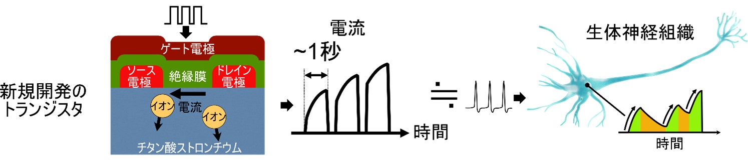 ポイント.jpg