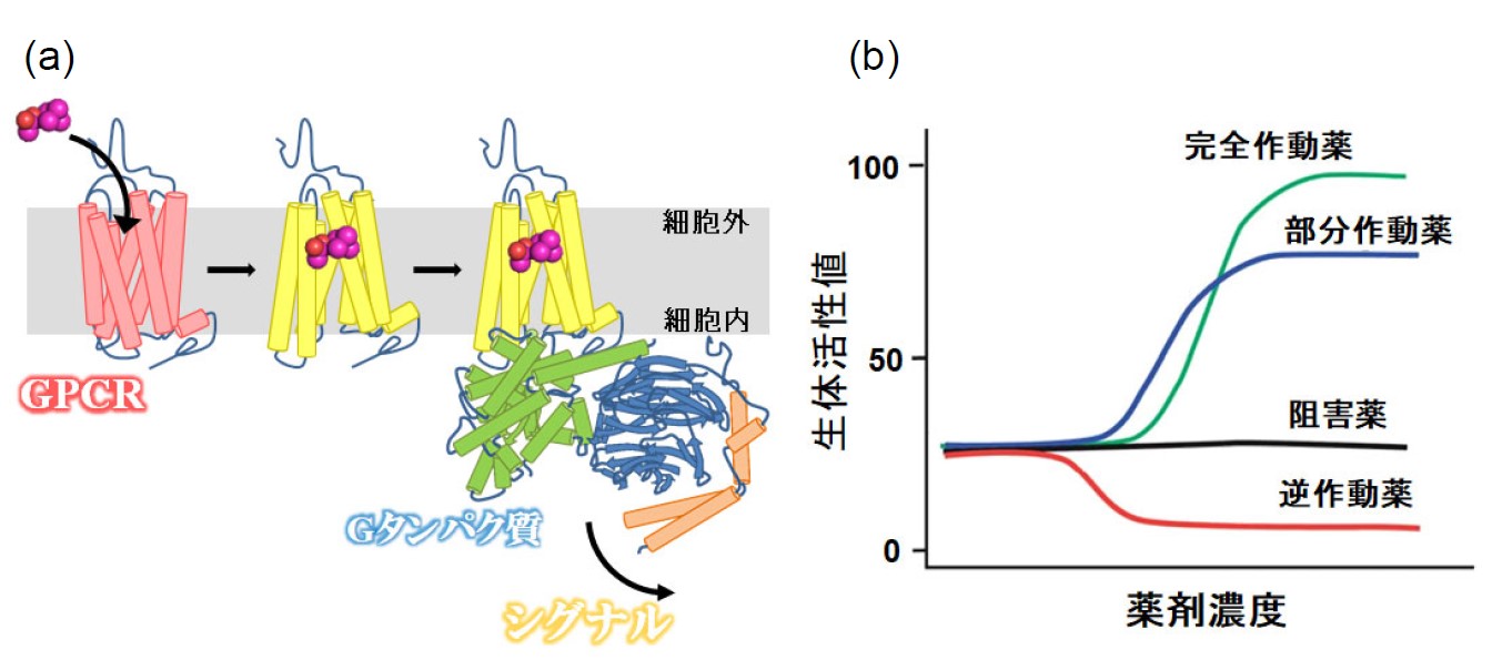 fig2.jpg