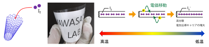 https://www.nitech.ac.jp/mt_imgs/dynamics%20of%20molecular%20iodine.png