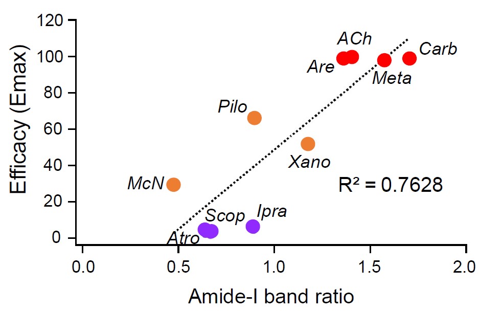 fig4.jpg