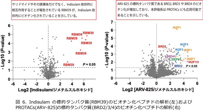 fig6.jpg