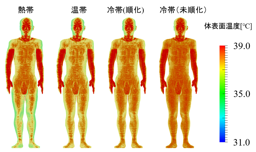 https://www.nitech.ac.jp/mt_imgs/hirata_fig2.png