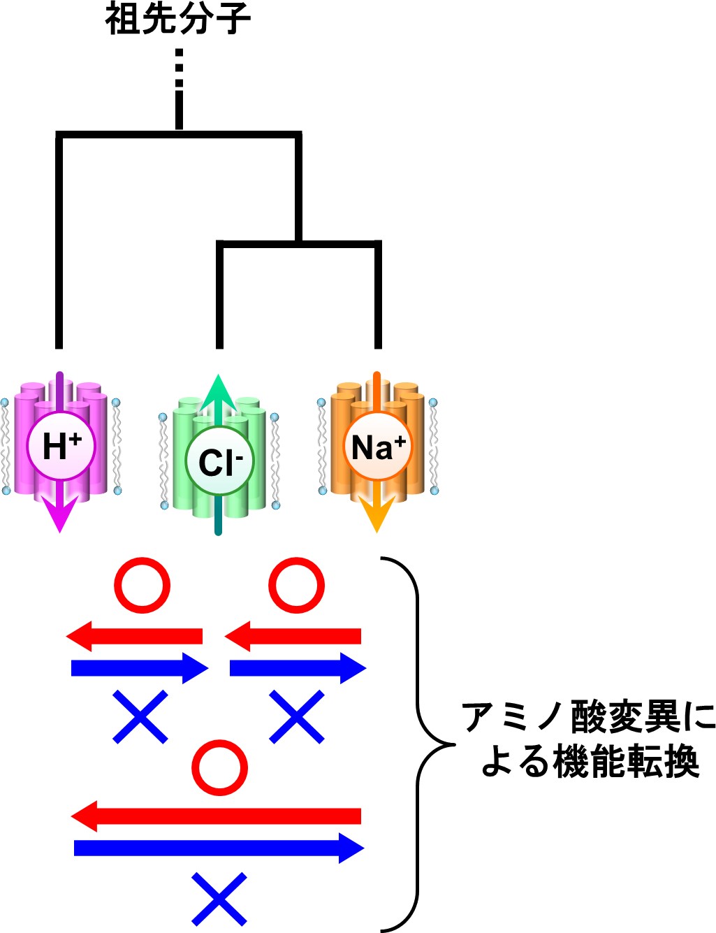 https://www.nitech.ac.jp/mt_imgs/image3_160311.jpg