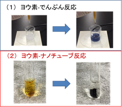 https://www.nitech.ac.jp/mt_imgs/lodine%20starch%20reaction.png