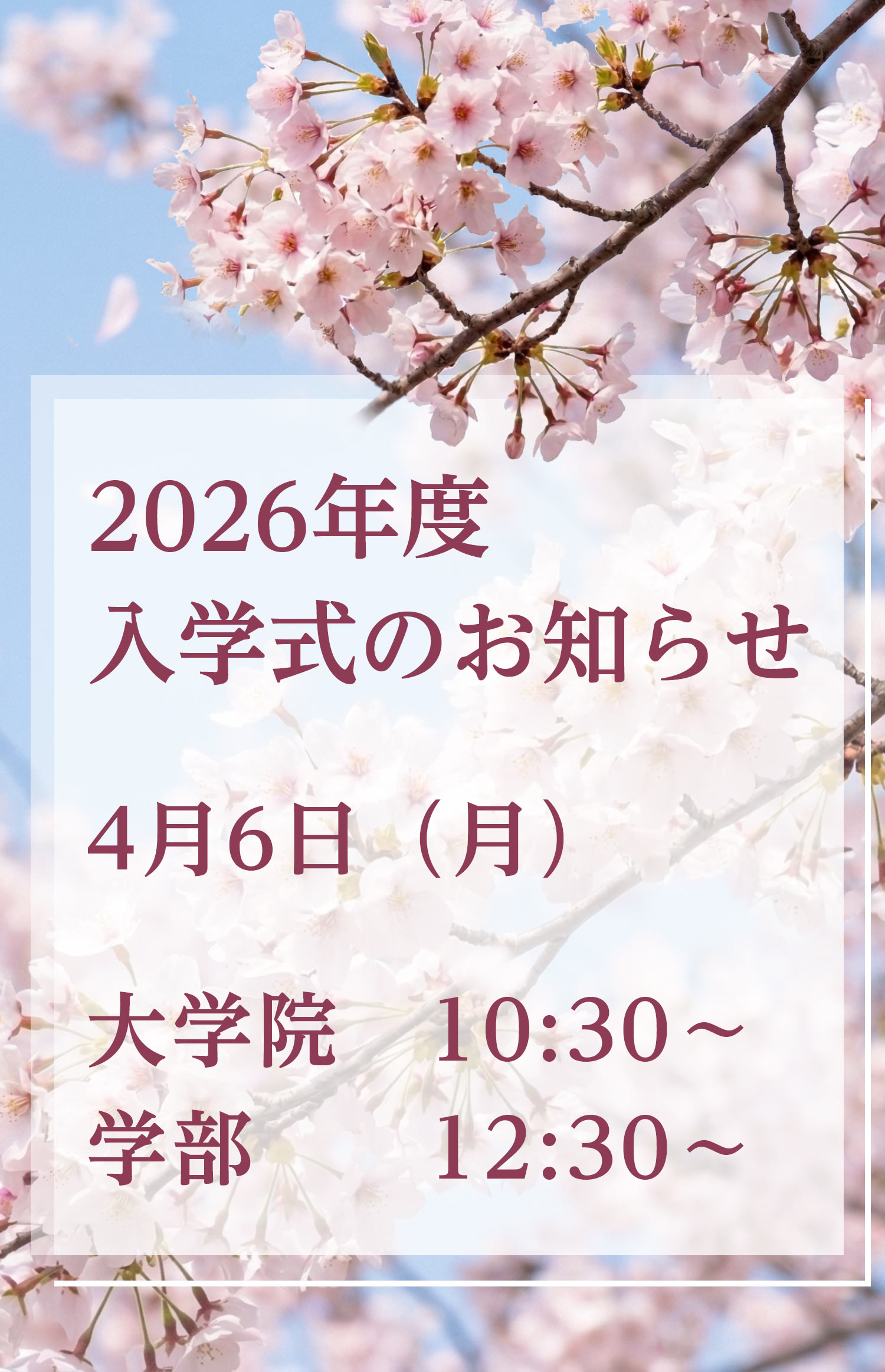 【期間限定左から6枚目】入学式