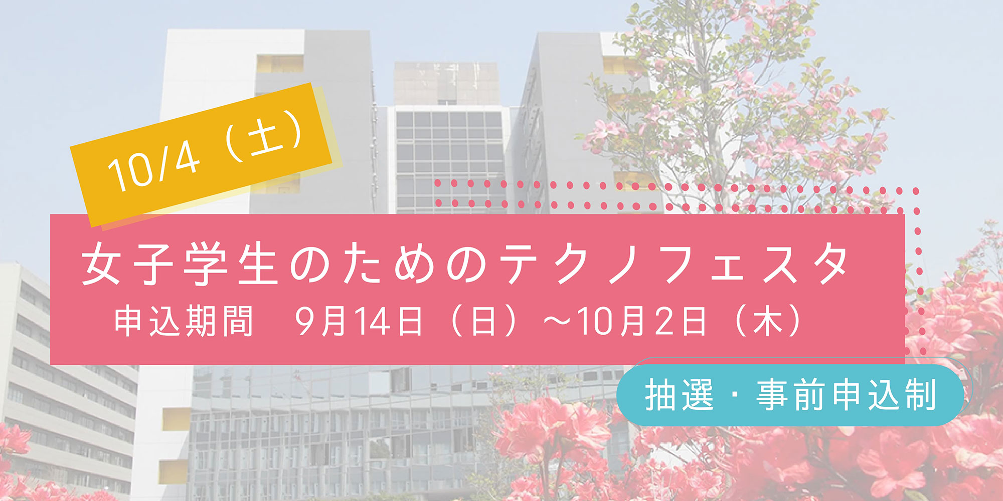 【期間限定左から5枚目】