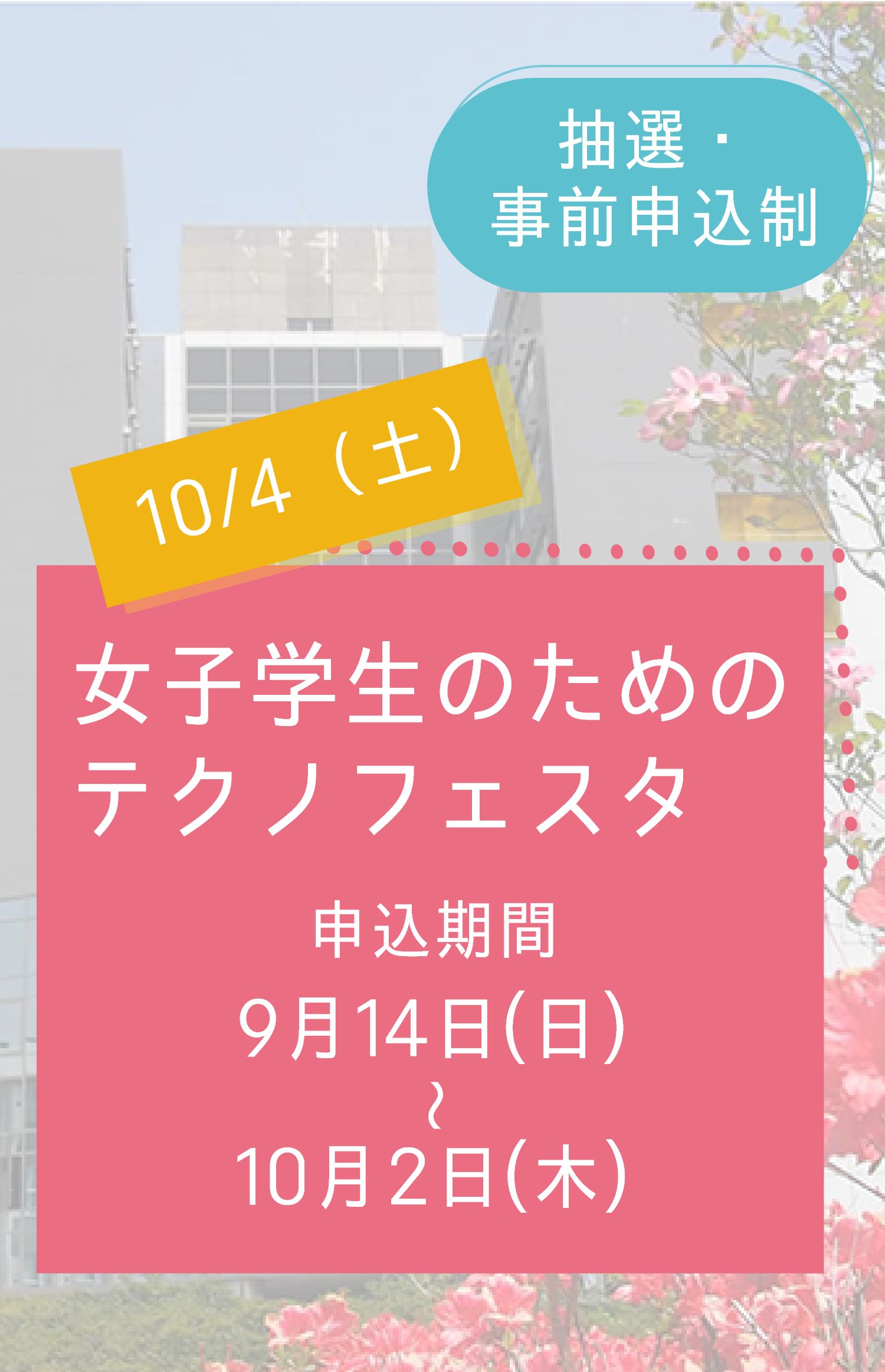 【期間限定左から5枚目】