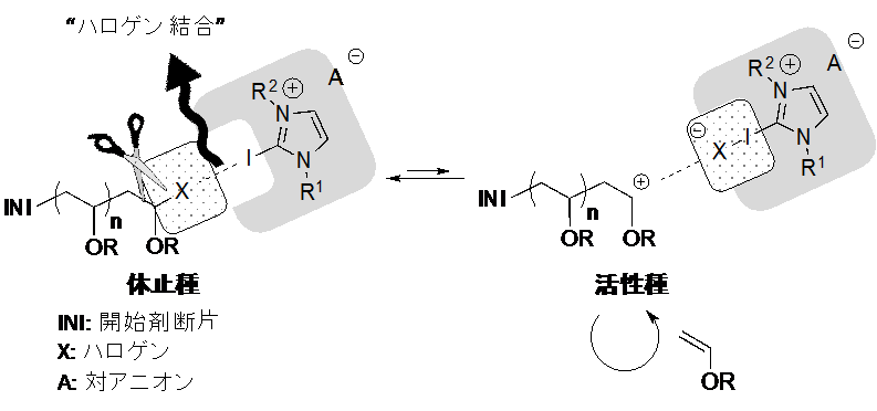 https://www.nitech.ac.jp/mt_imgs/takagi_fig2.png