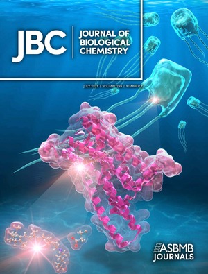 JBC_299_7_COVER.jpg