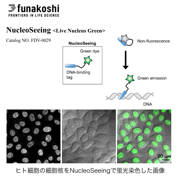 https://www.nitech.ac.jp/research/mt_imgs/%E6%8E%B2%E8%BC%89%E5%9B%B3_1.png