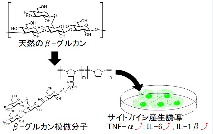 https://www.nitech.ac.jp/research/mt_imgs/1c6cb8a90b55942140f12cba0266c13f00775400.jpg