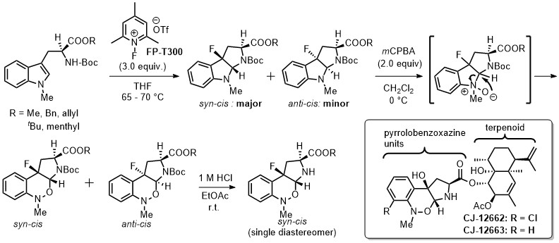 https://www.nitech.ac.jp/research/mt_imgs/Org.%20Chem.%20Front.%20synthesis.jpg